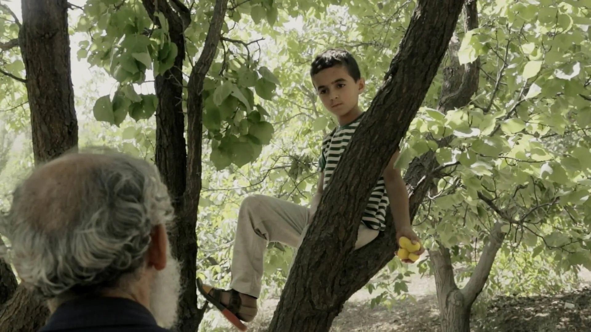 Pick film still